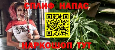 сатива Бузулук