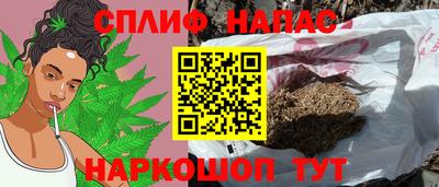 гидропоника Будённовск