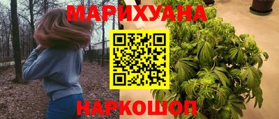 сатива Бузулук