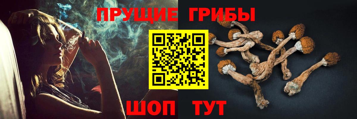 Псилоцибиновые грибы Cubensis  Псилоцибиновые грибы мицелий  Вход с VPN  Краснотурьинск 